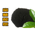 Ammonium Humate / Ammonium Humic Acid Granular / Powder